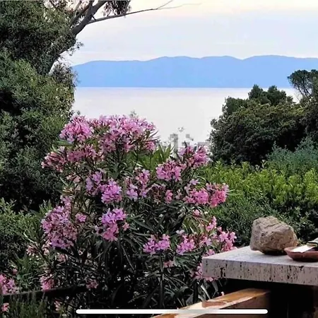 Seafront In Exclusive Location *