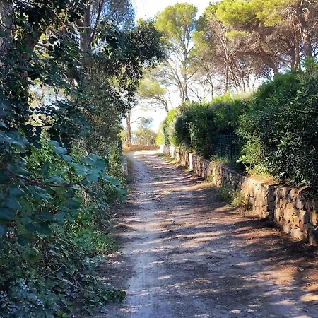 Villa Seafront In Exclusive Location